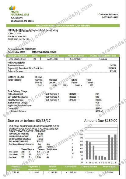USA Marine Maine Natural Gas Portland utility bill template in Word format